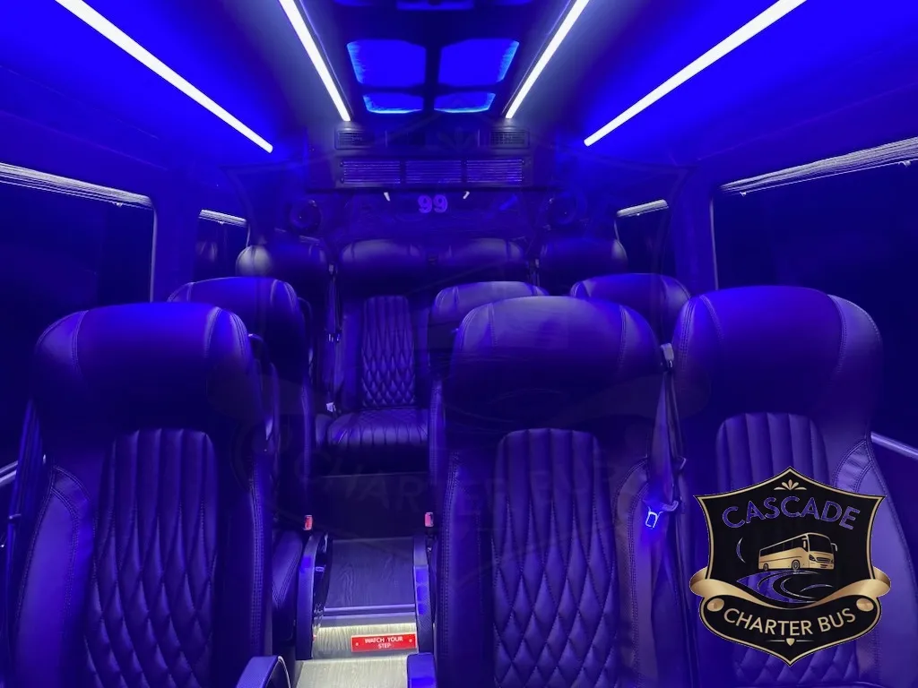 Mid-Size Executive Minibus