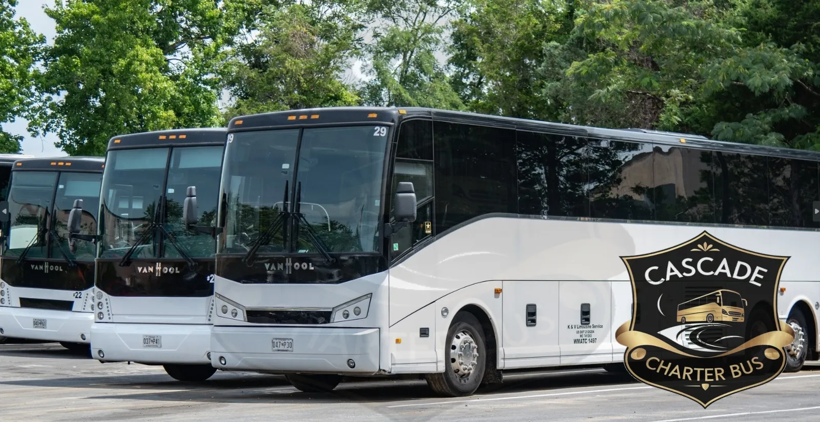 Passenger Sprinter Van
